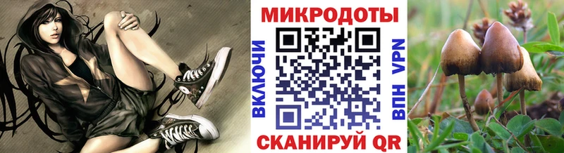 наркотики  Нефтекамск  Галлюциногенные грибы мухоморы 